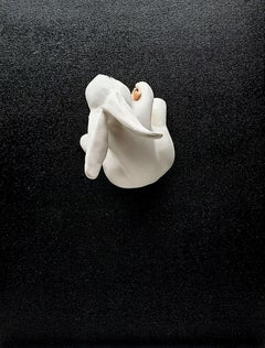 CARROT – OFF THE WALL (White) - animal wildlife wall sculpture realism surreal