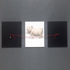 When Pigs Fly (White)-originelle realistische Skulptur aus der Tierwelt-zeitgenössisches Kunstwerk