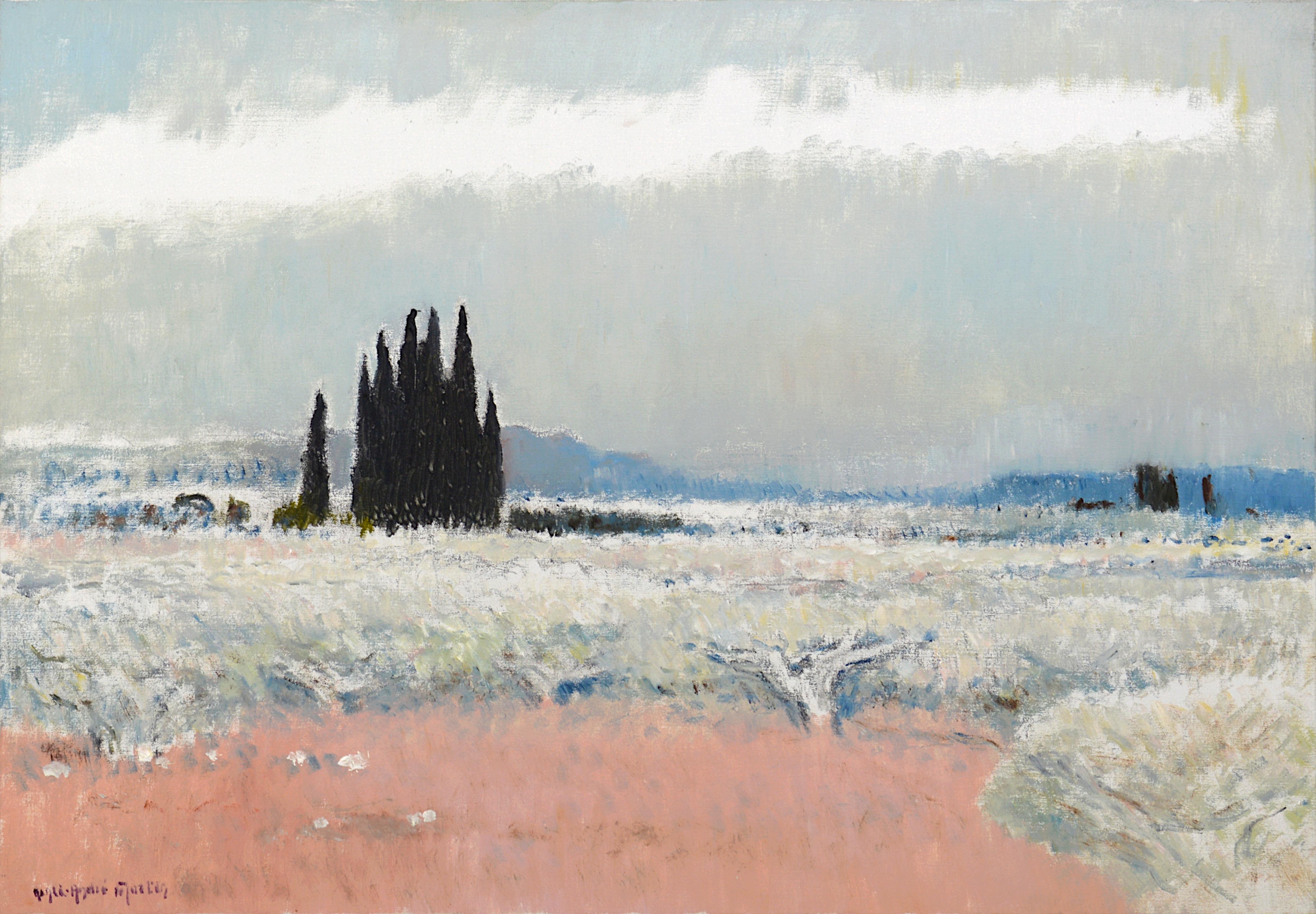 Oil on canvas by Henri-André Martin (1918-2004), France, 1980s. Olive tree fiels in the Alpilles, Provence. With frame: 71x98 cm - 28x38.6 inches. Without frame: 65x92cm - 25.6x36.2 inches. 30P format. Signed lower left 