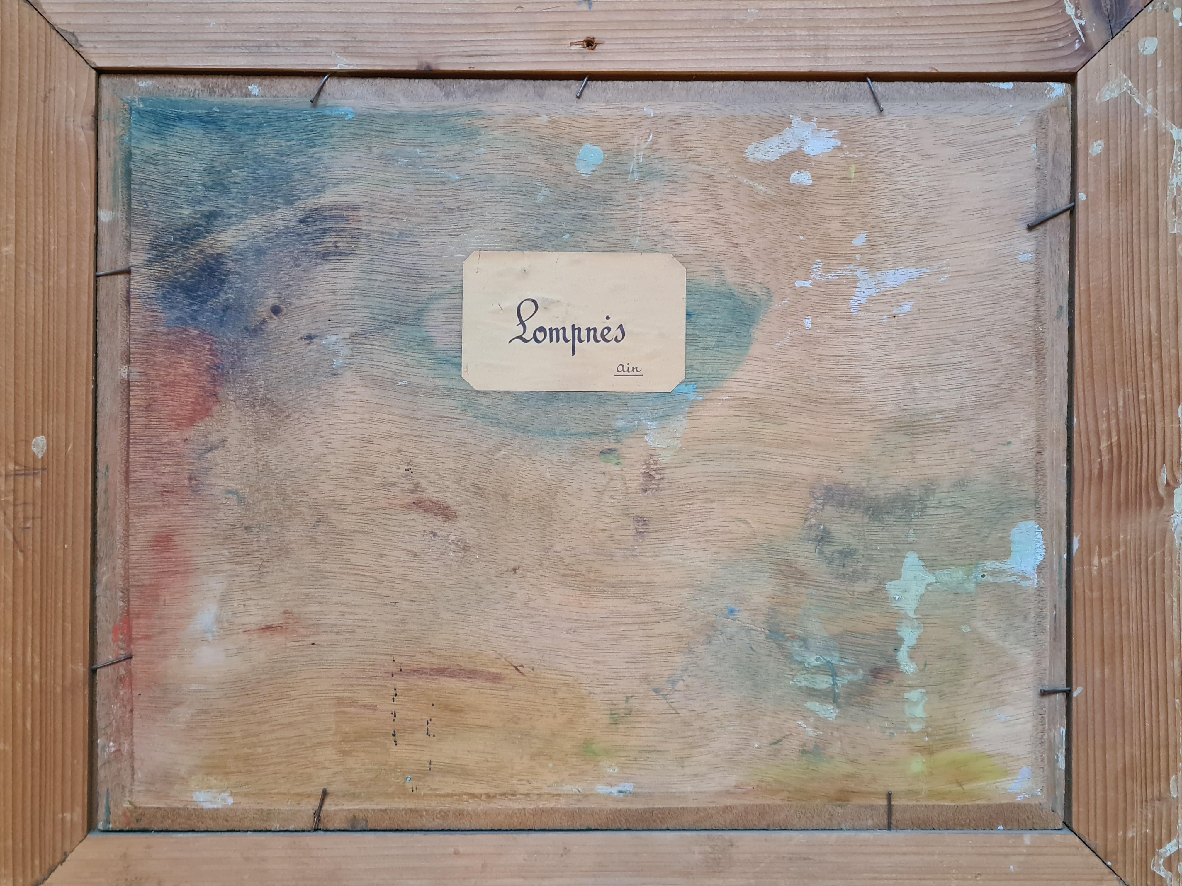 Coqs colorés, Village français, Lompnes, Ain 6