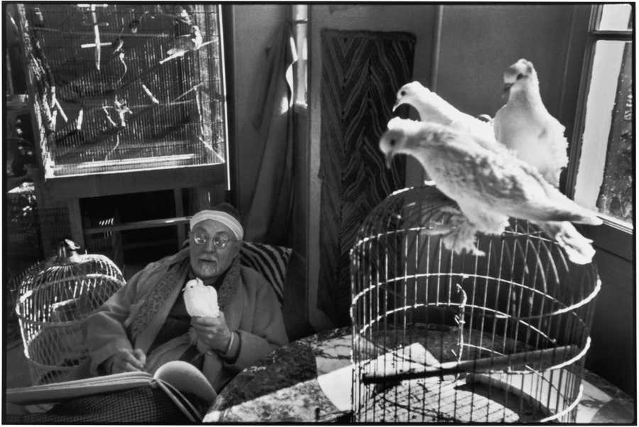 Henri Matisse at His Home, 'le Reve', Vence, France