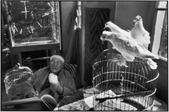 Henri Matisse en su casa, "le Reve", Vence, Francia