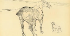 Henri de Toulouse-Lautrec, A Small Cob, from The Circus, 1952 (after)