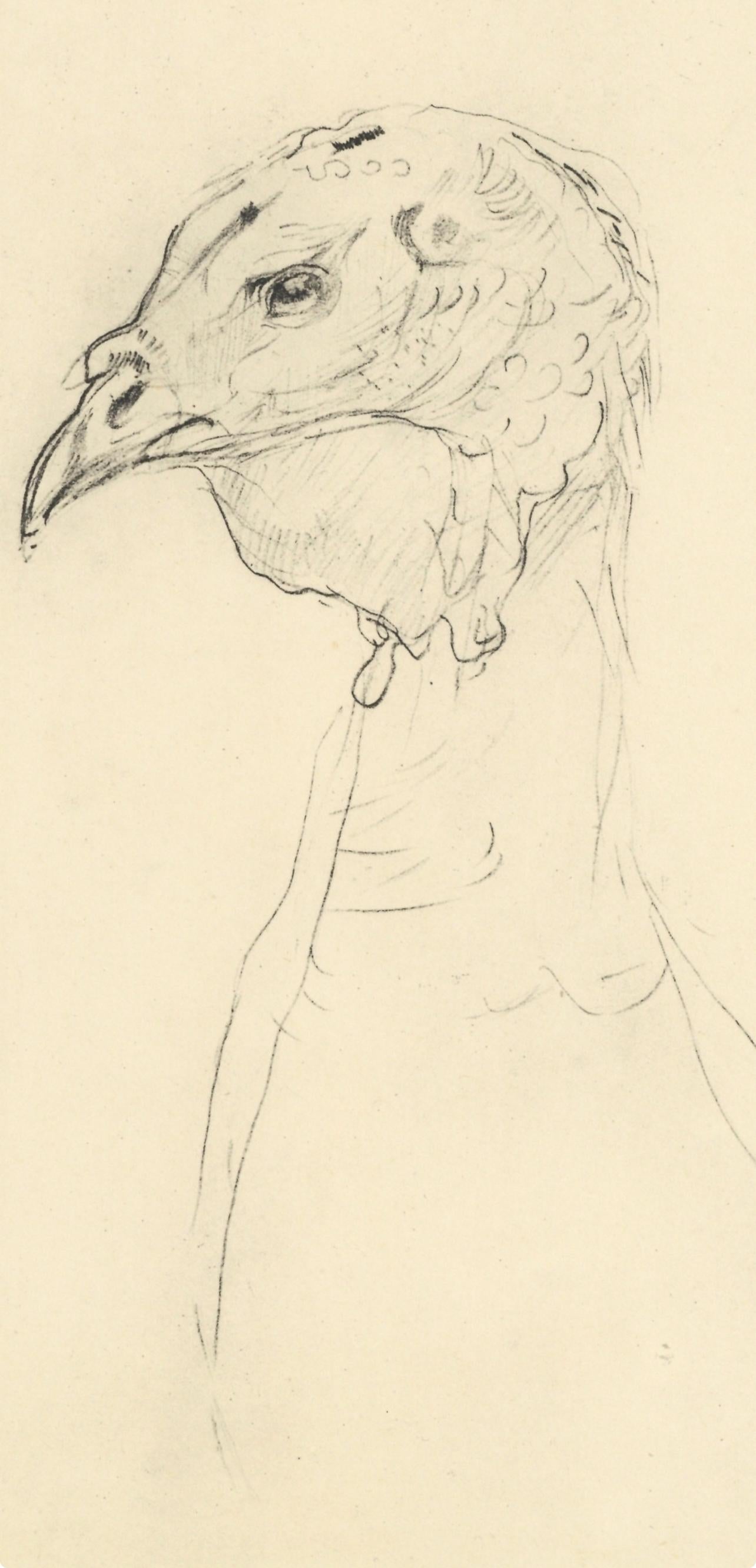 Toulouse-Lautrec, Composition, Henri de Toulouse-Lautrec, Dessinateur (après) en vente 1
