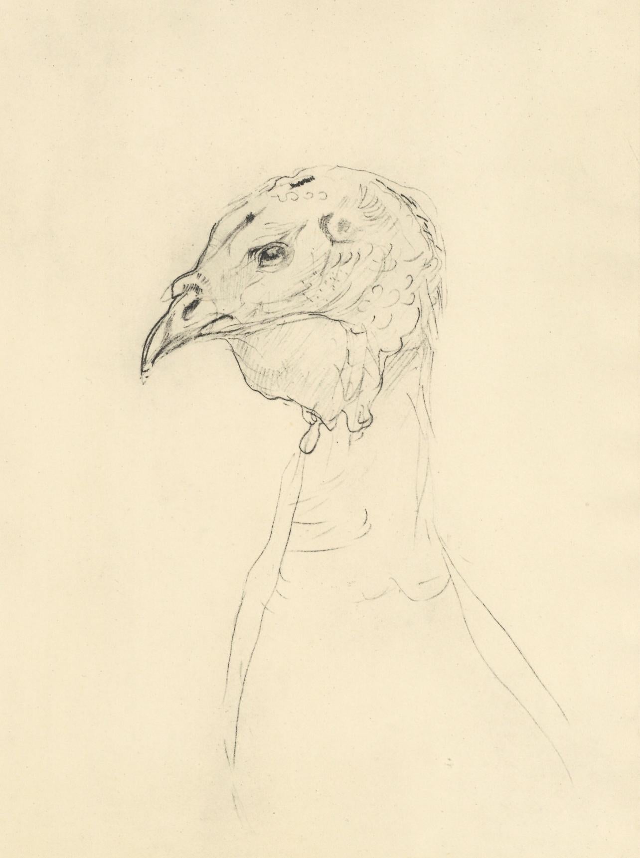 Lithographie sur papier vélin. Taille du papier : 12,25 x 9,25 pouces. Inscription : Non signé et non numéroté, tel que publié. Notes : D'après l'album, Henri de Toulouse-Lautrec, Dessinateur, 1948. Publié par Quatre Chemins-Éditart, Paris, en