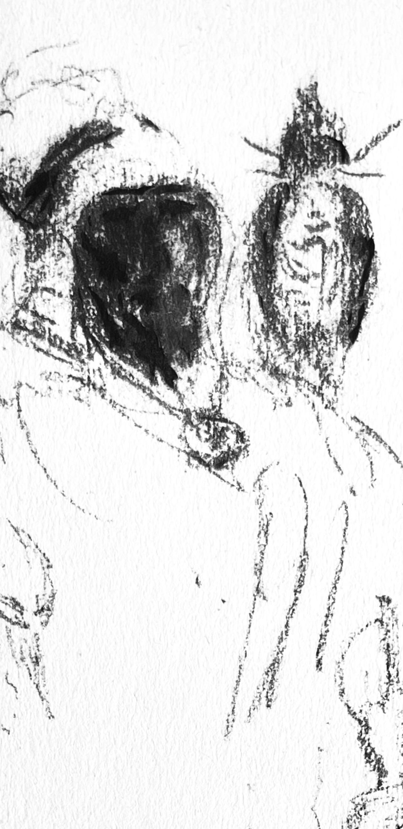 Toulouse-Lautrec, Composition, Toulouse-Lautrec, Album de Marine (après) en vente 1