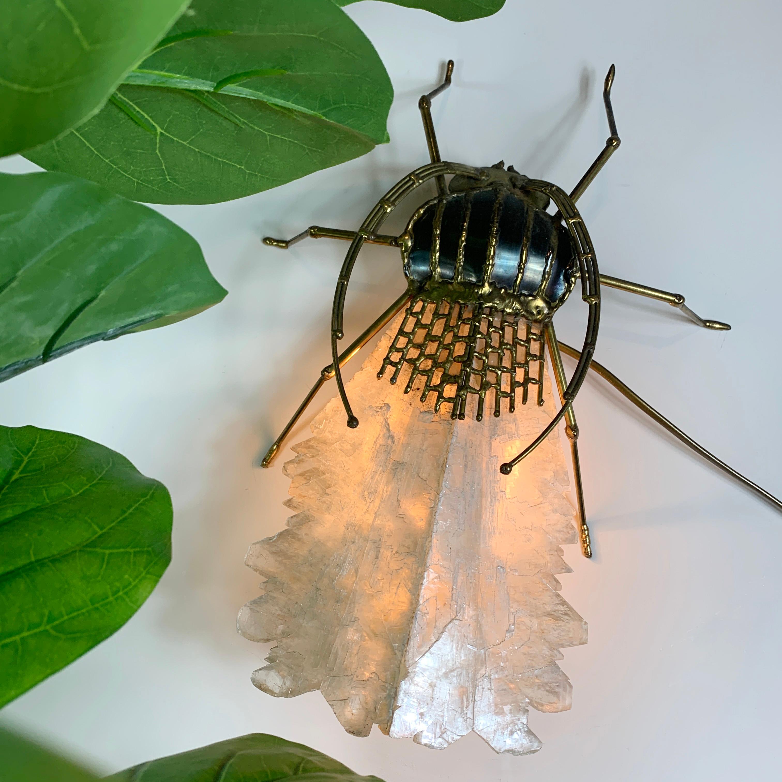 French Henri Fernandez for Atelier Jacques Duval Brasseur Quartz and Bronze Insect Lamp
