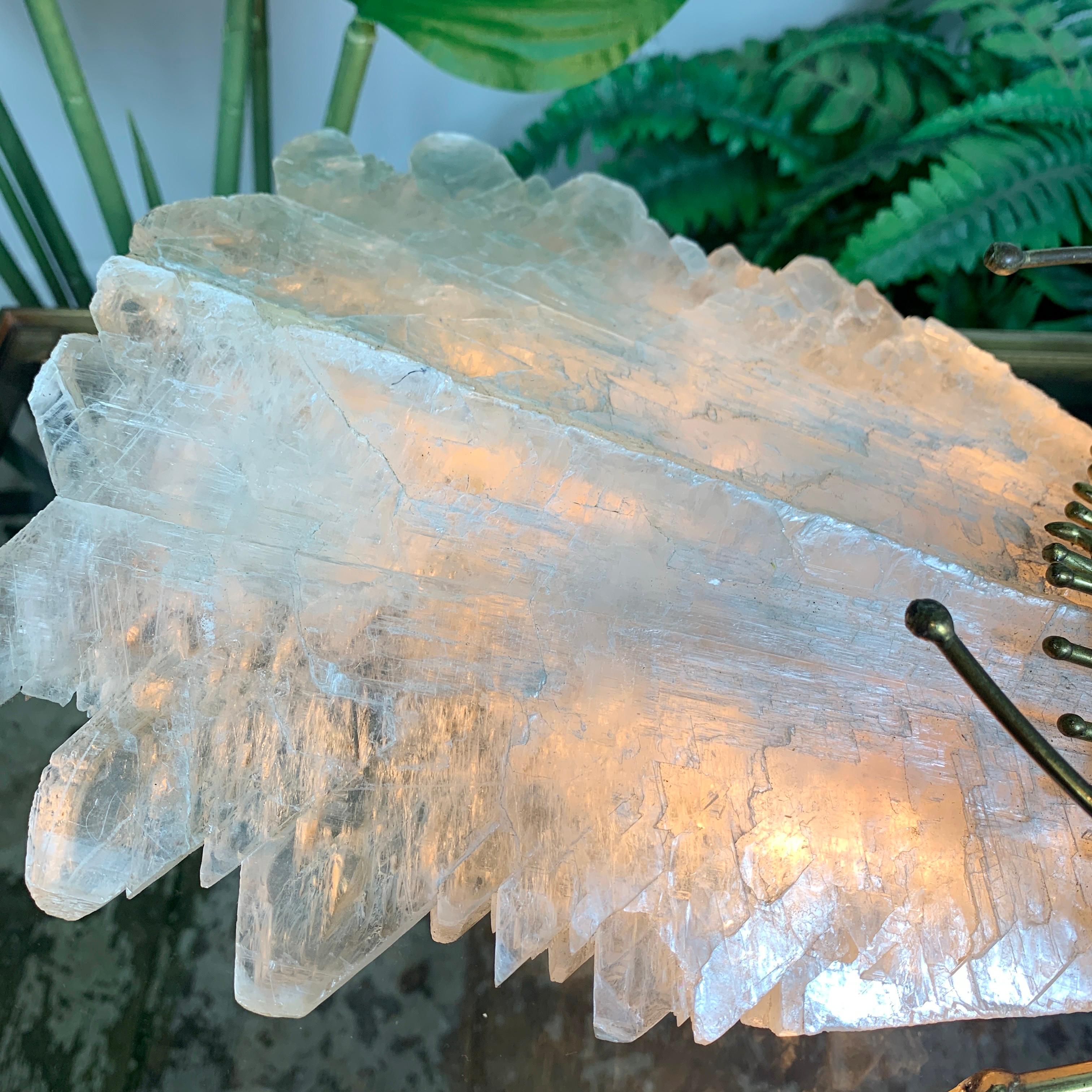 Hand-Crafted Henri Fernandez for Atelier Jacques Duval Brasseur Quartz and Bronze Insect Lamp