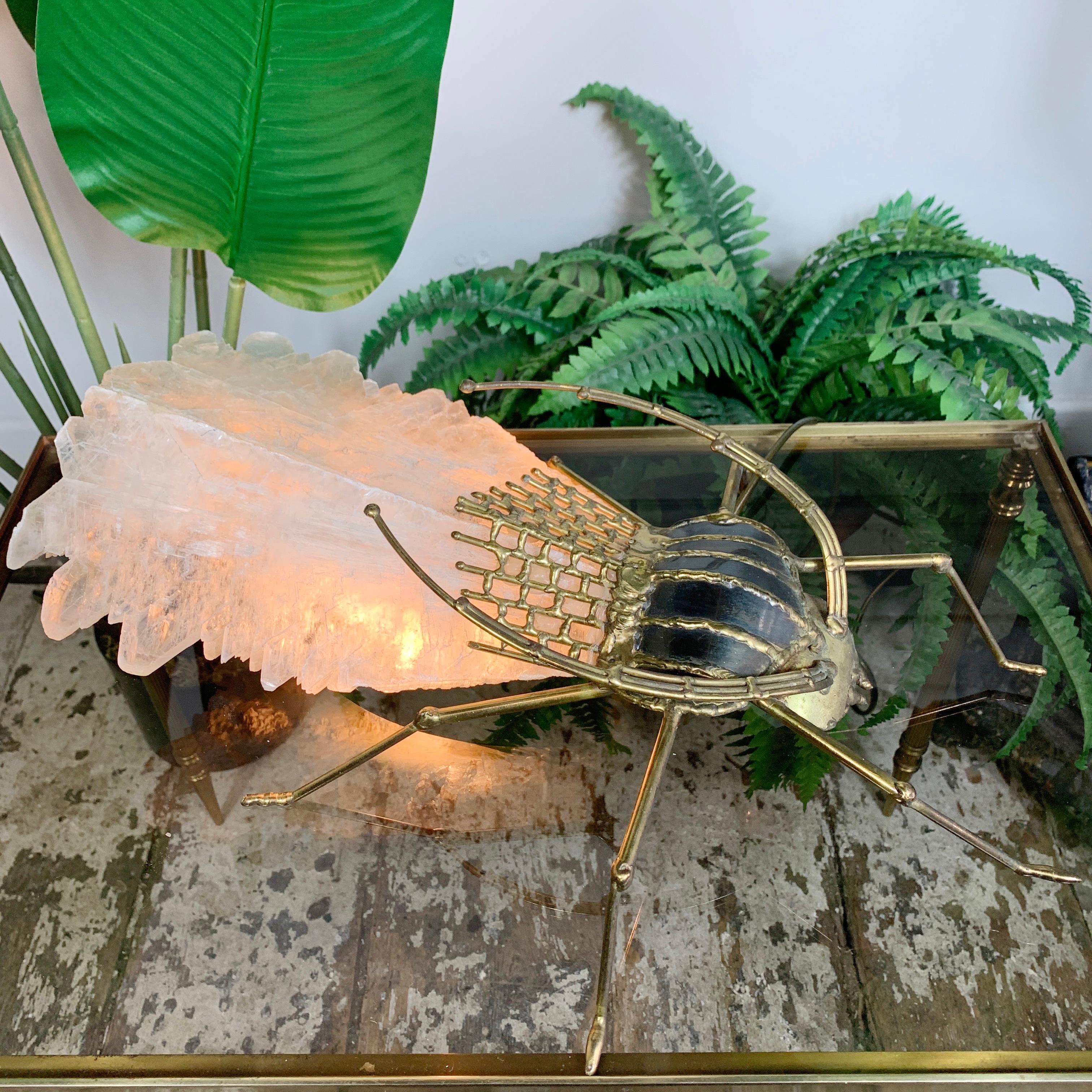 20th Century Henri Fernandez for Atelier Jacques Duval Brasseur Quartz and Bronze Insect Lamp