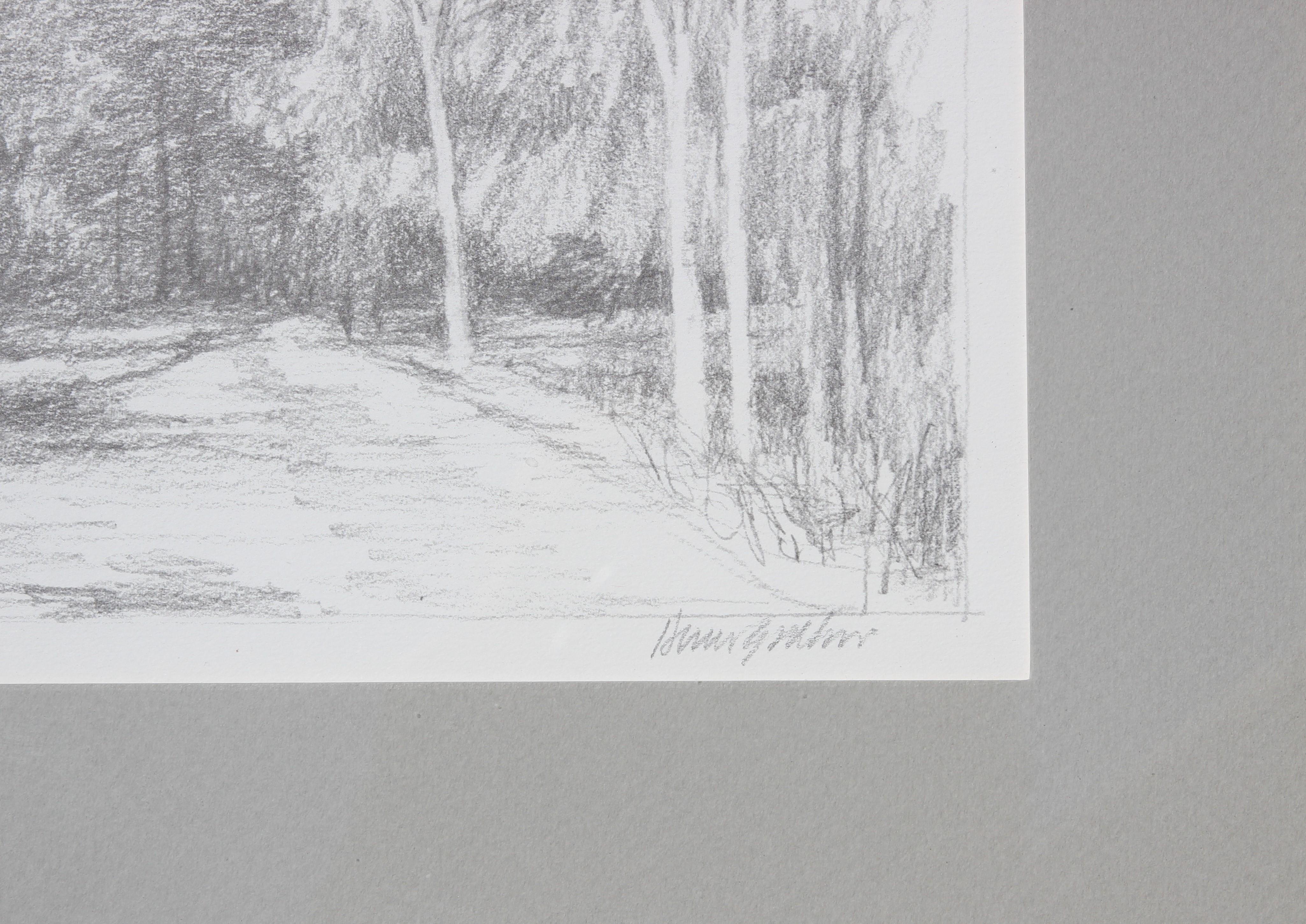 Impression photo d'un dessin abstrait au crayon sur un chemin de la forêt grise naturaliste  - Naturalisme Print par Henri Gadbois