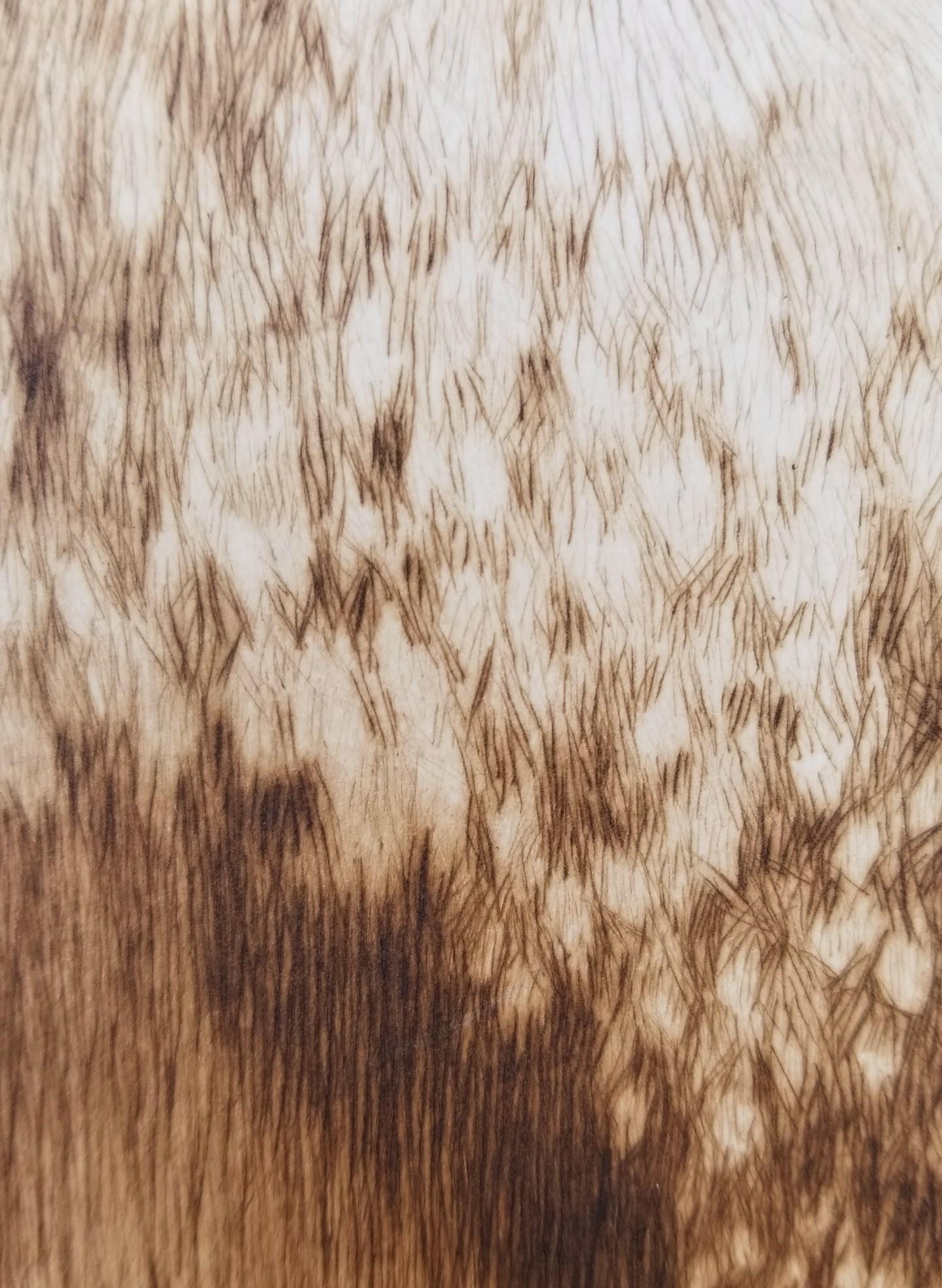 Pavillon dans les Arbres (Pavilion in the Trees) /// Impressionist Henri Sidaner im Angebot 10