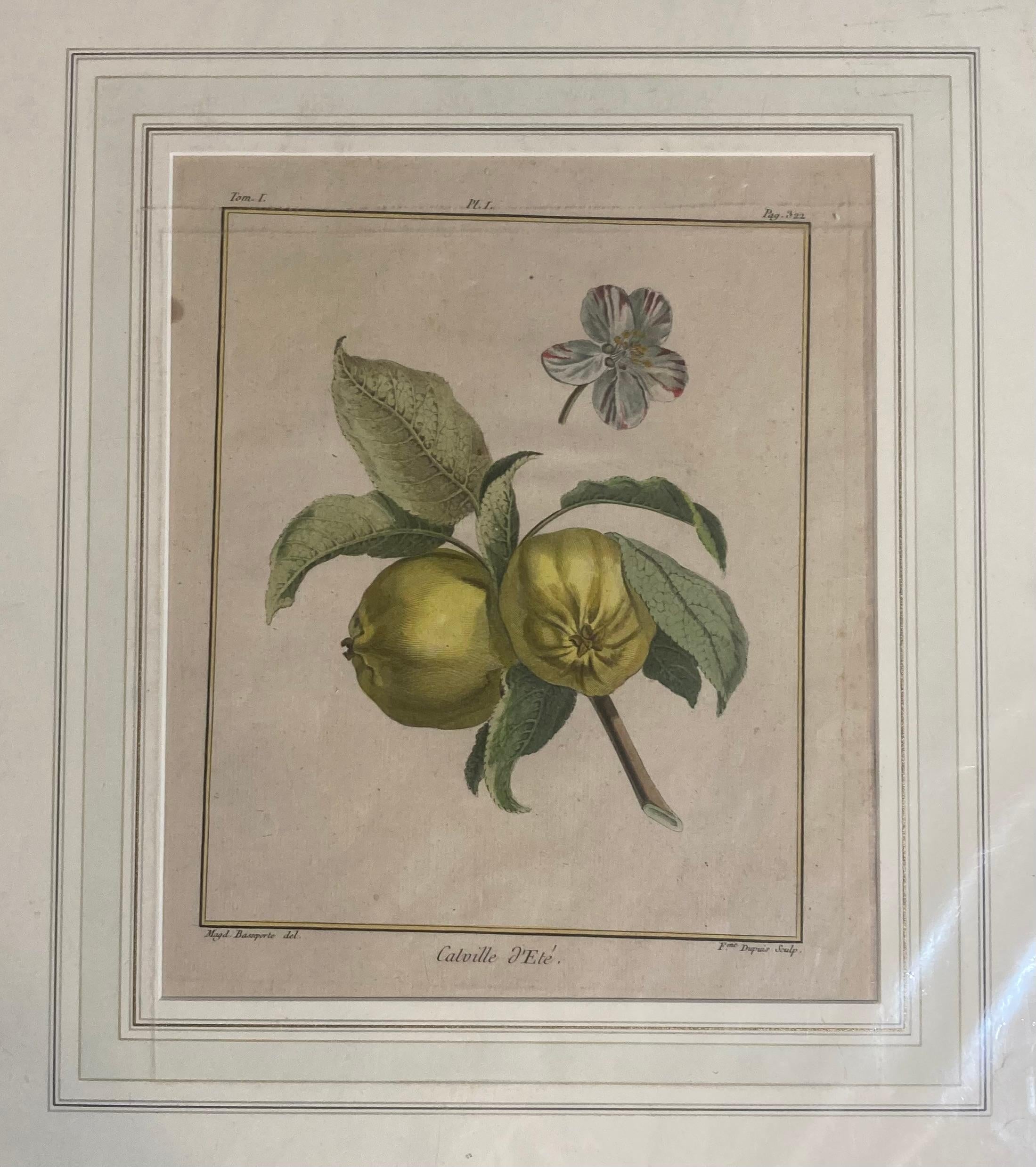 Nach Henri-Louis Duhamel du Monceau Serie von sechs Fruchtdrucken um 1768 2