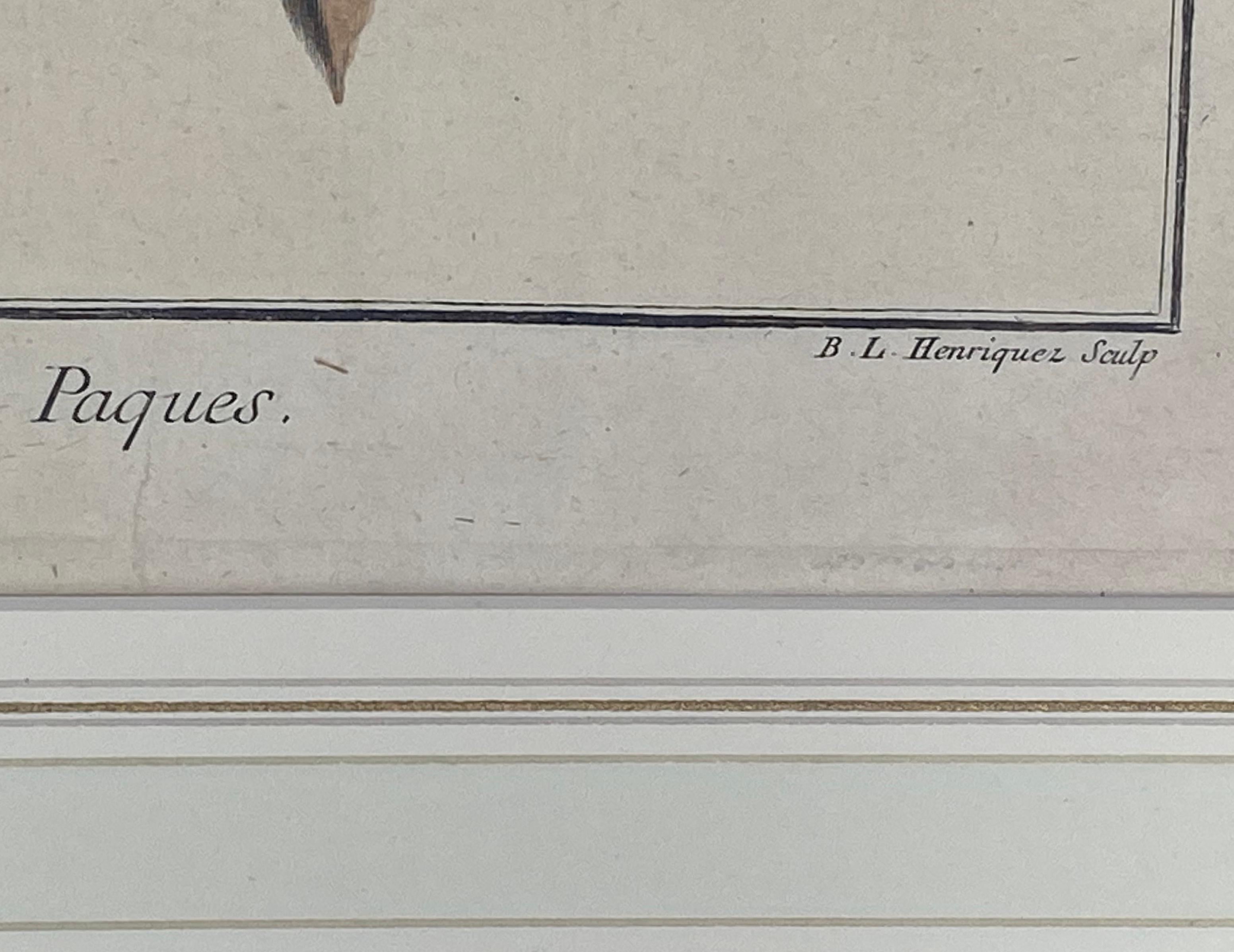 Nach Henri-Louis Duhamel du Monceau Serie von sechs Fruchtdrucken um 1768 8