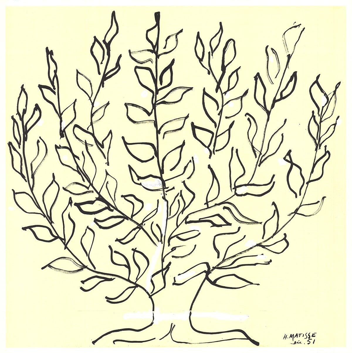 henri matisse lithograph