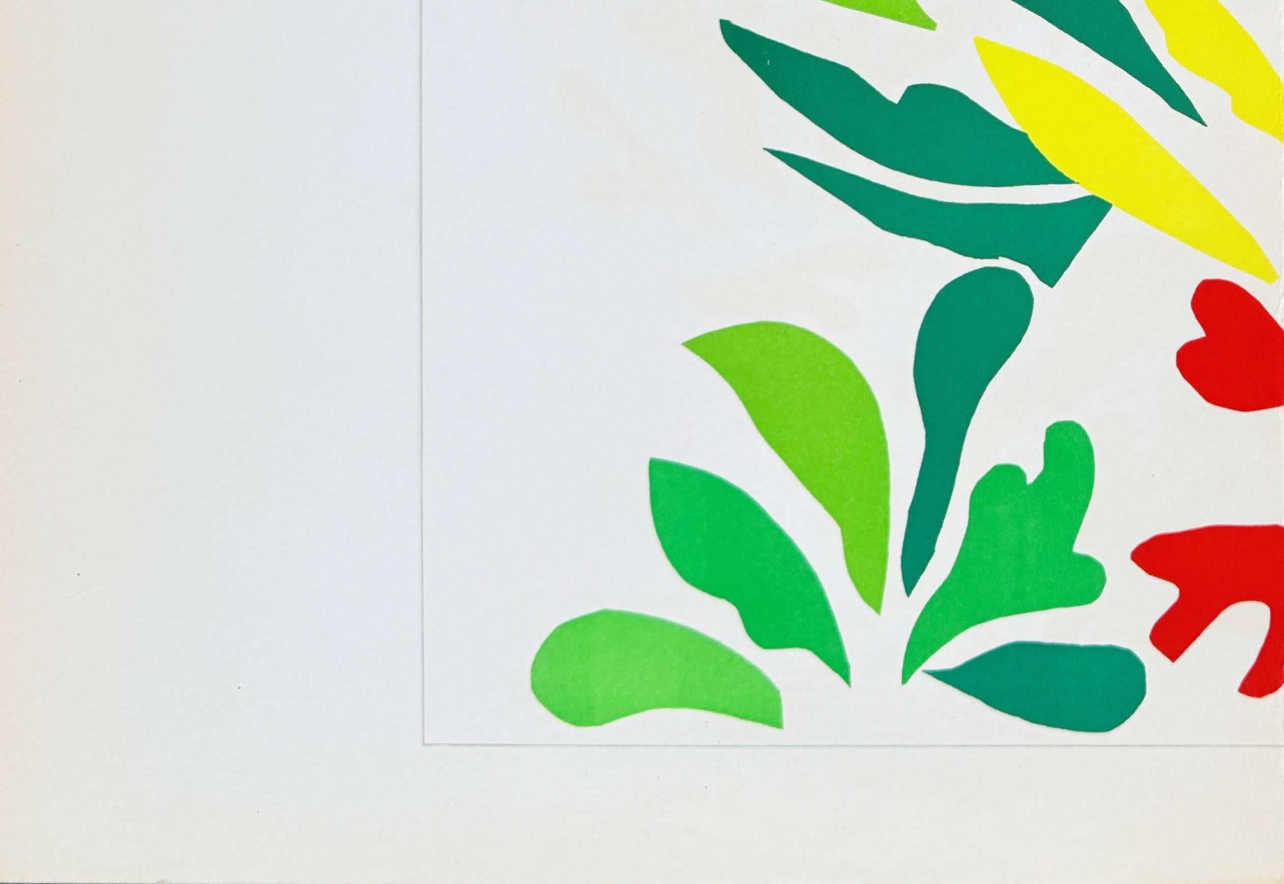 Acanti - Print Grigio di Henri Matisse