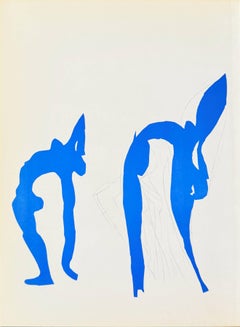 Acrobates