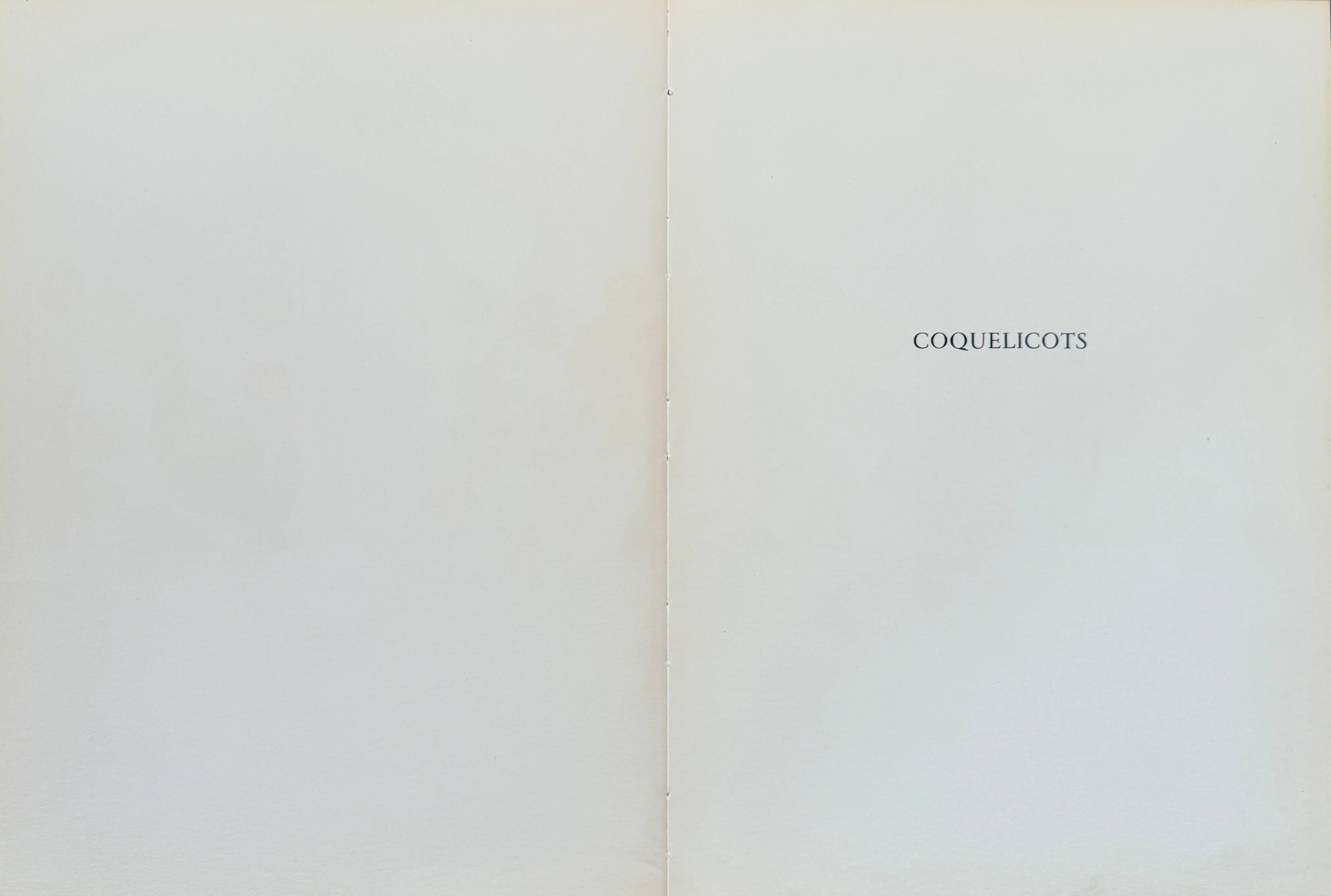 Coquelicots For Sale 1