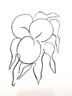 Henri Matisse  - Fruits - Original Lithograph