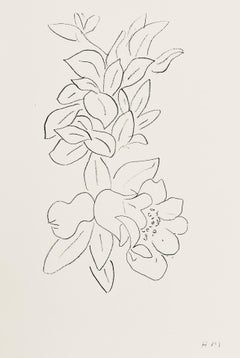 Henri Matisse, Flowers and Foliage, from Verve, Revue Artistique, 1945 (after)