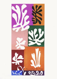 Henri Matisse, Snow Flowers, from Last Works of Matisse, 1958 (after)