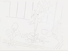 Henri Matisse, Thème M 4, extrait de « Thèmes et variations », 1943 (d'après)