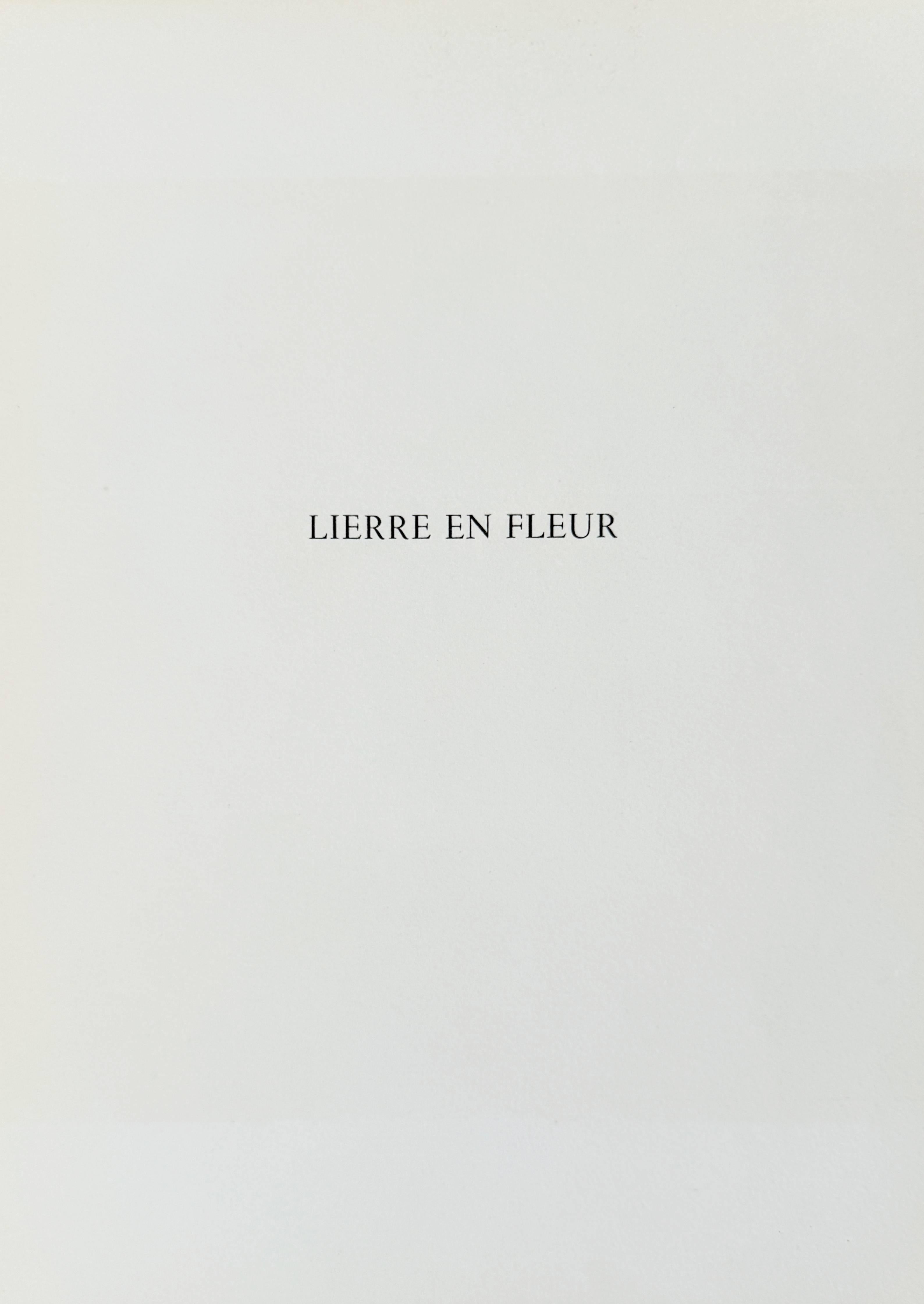 Lierre en Fleur in vendita 1