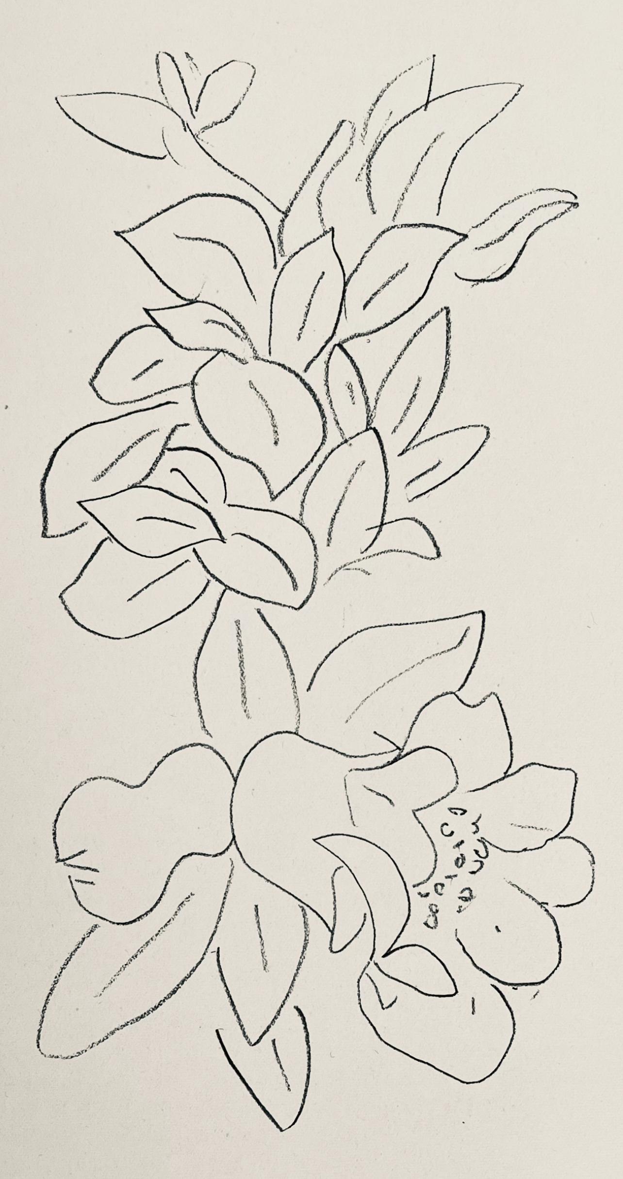 Matisse, Komposition, Verve: Revue Artistique et Littéraire (nach) – Print von Henri Matisse