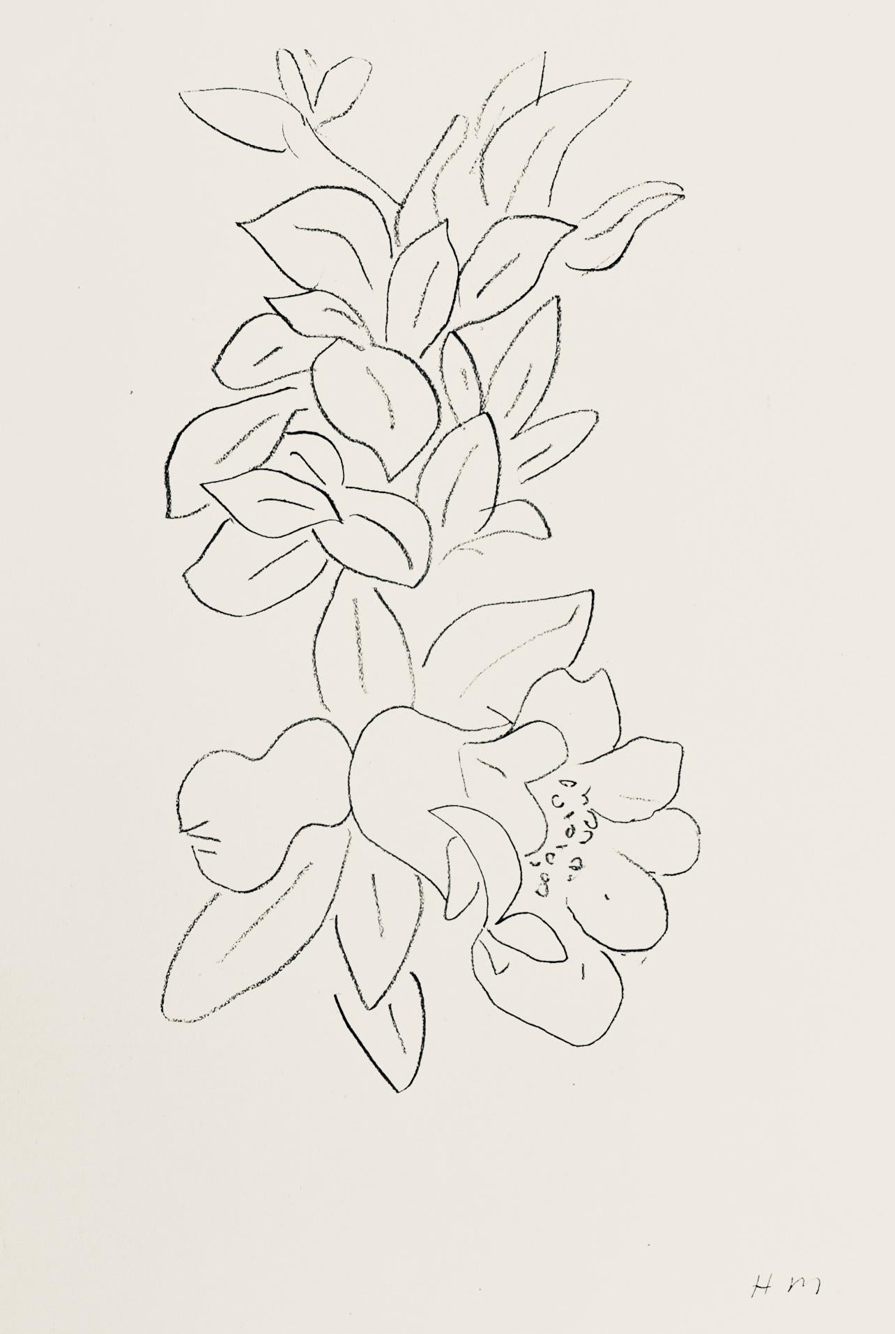 Matisse, Composizione, Verve: Revue Artistique et Littéraire (dopo)