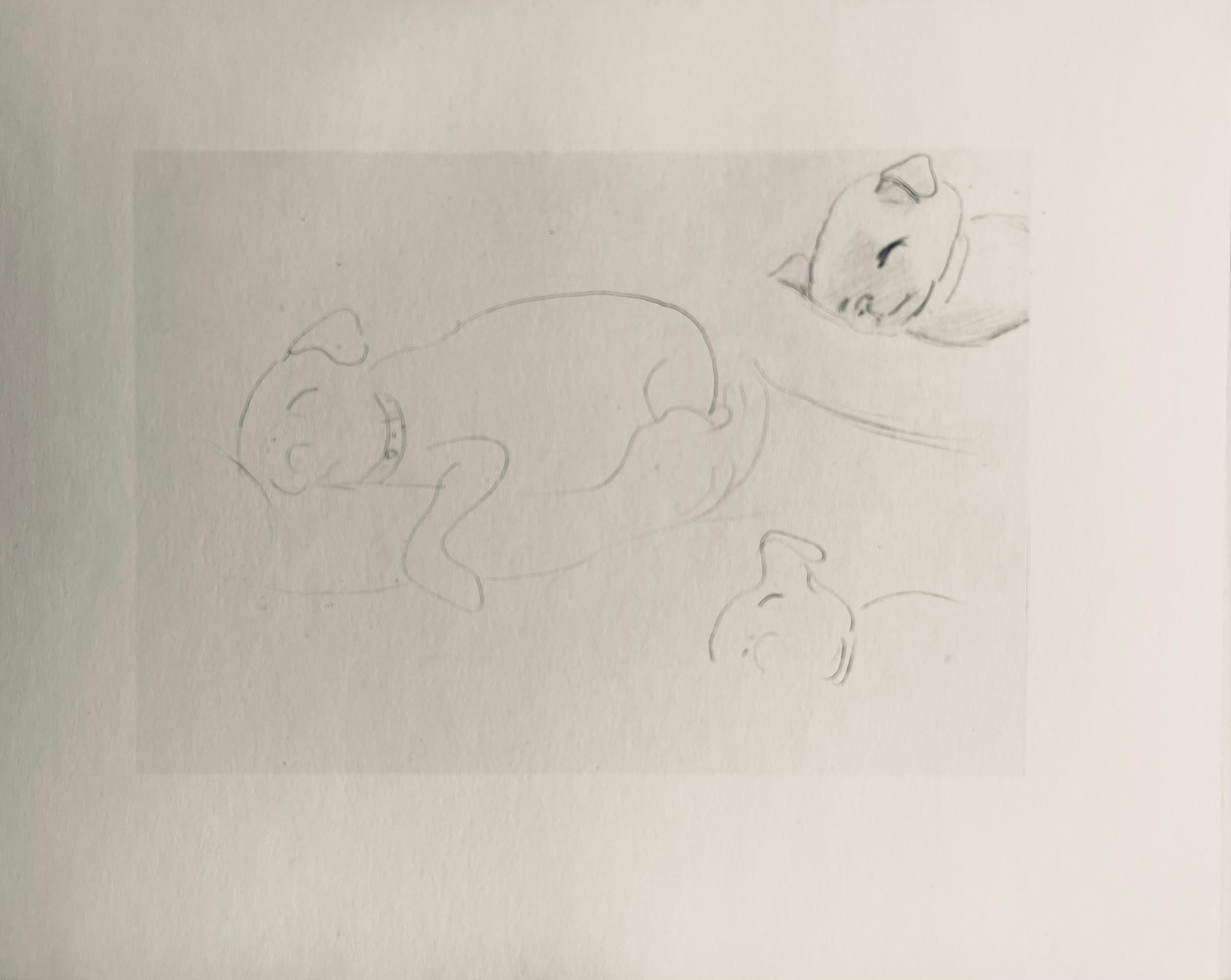 Matisse, Crayon, Dessins de Henri-Matisse (after) - Gray Figurative Print by Henri Matisse