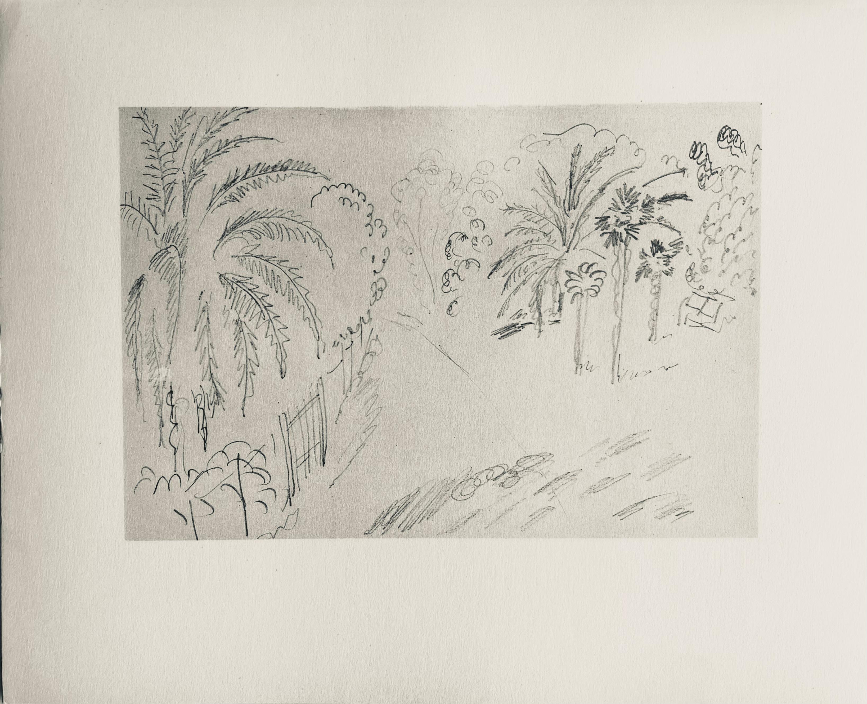 Matisse, Crayon, Dessins de Henri-Matisse (after) 1