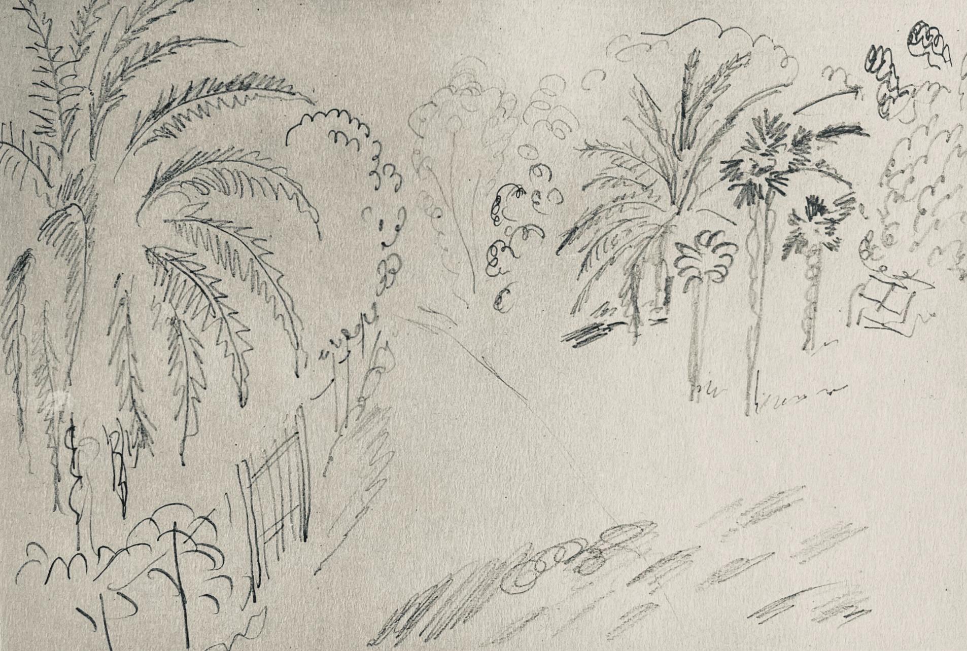 Henri Matisse Landscape Print - Matisse, Crayon, Dessins de Henri-Matisse (after)