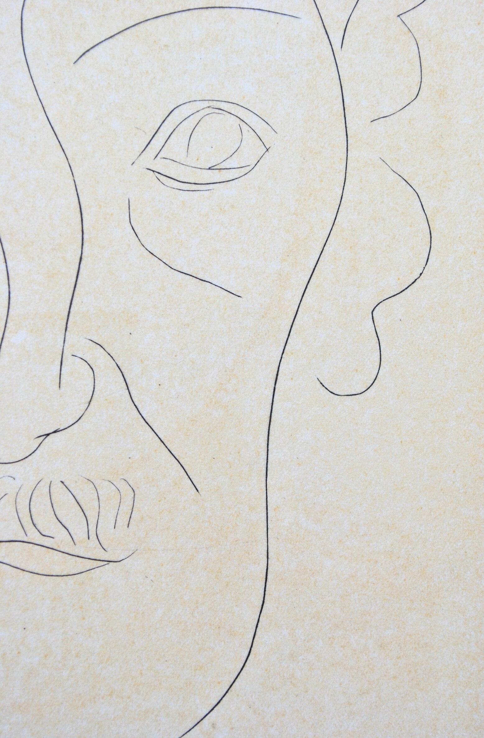 Matisse, Edgar Allen Poe, Portraits par Henri Matisse (after) For Sale 3