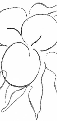 Henri Matisse, Fruits, from Prints from the Mourlot Press, 1964 (after)