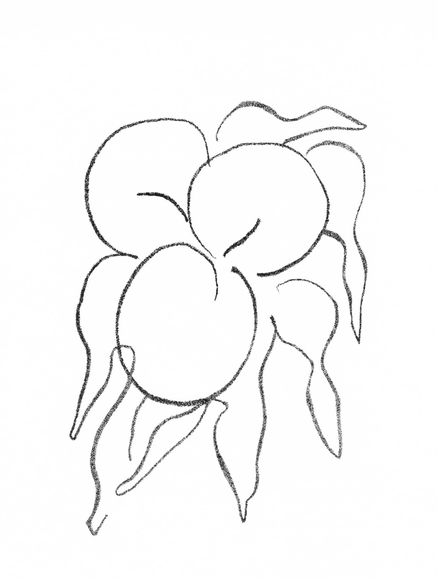 Abstract Print de Henri Matisse - Matisse, Frutas, Grabados de la imprenta Mourlot (después)