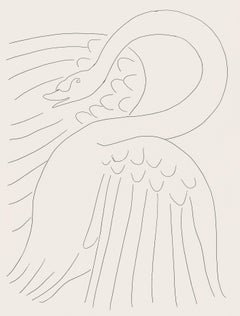 Matisse, Le Cygne (Der Schwan), Poésies (nach)