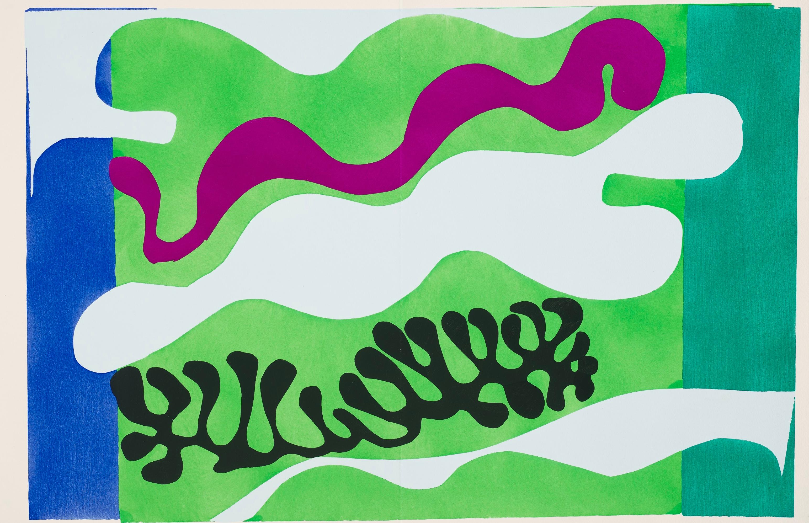 Henri Matisse Figurative Print - Matisse, Le Lagon (after)