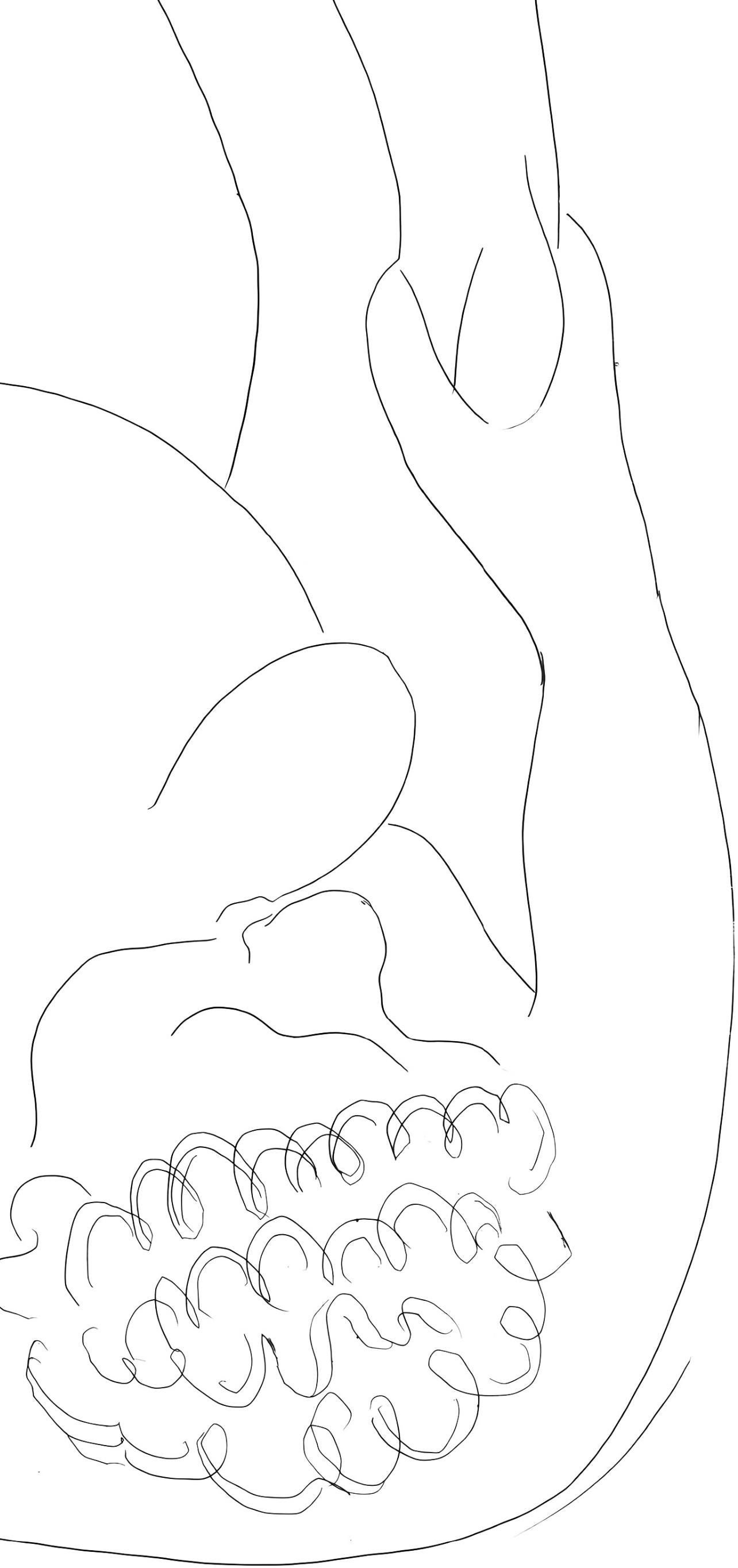 Matisse, Le Pitre Châtié, Poésies de Stéphane Mallarmé (nach) (Fauvismus), Print, von Henri Matisse