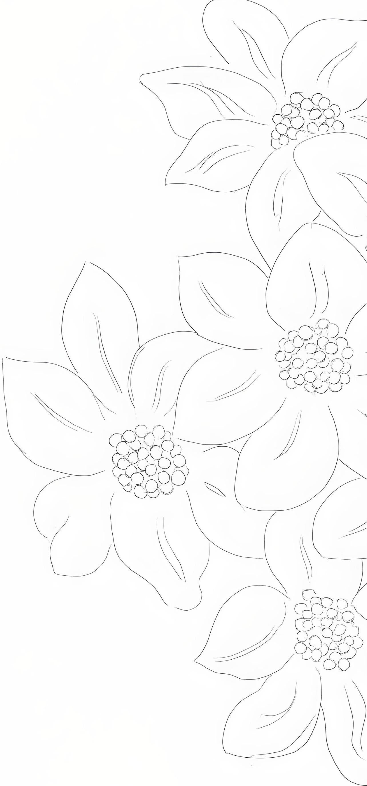 Matisse, Les Fleurs, Poésies de Stéphane Mallarmé (d'après) - Fauvisme Print par Henri Matisse