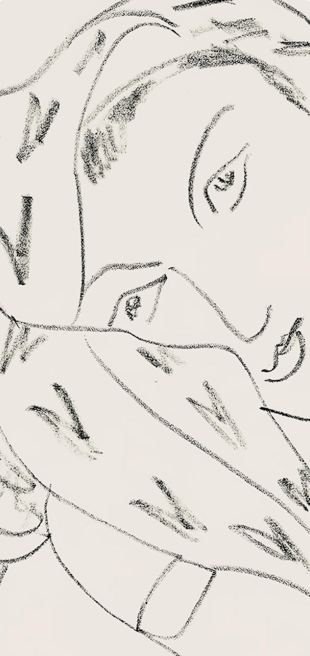 Lithograph on vélin pur fil paper. Inscription: Signed in the plate and unnumbered, as issued. Good condition. Notes: From the folio, Henri Matisse, Dessins, Thèmes et Variations, 1943. Published by Martin Fabiani, Éditeur, Paris; printed by Georges