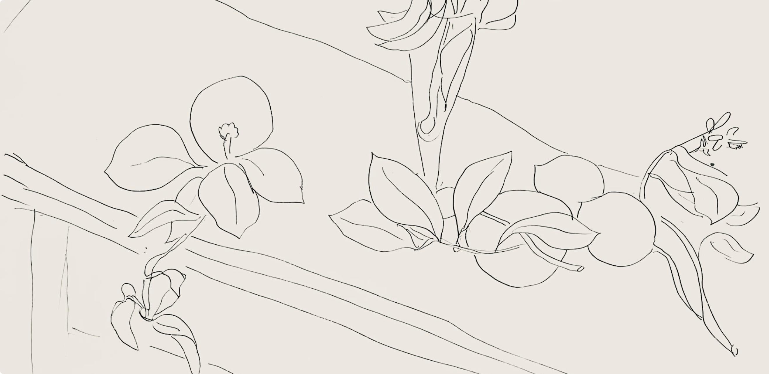 Matisse, Série M, var. 2 (Duthuit 9), Dessins, Thèmes et variations (after) - Print by Henri Matisse