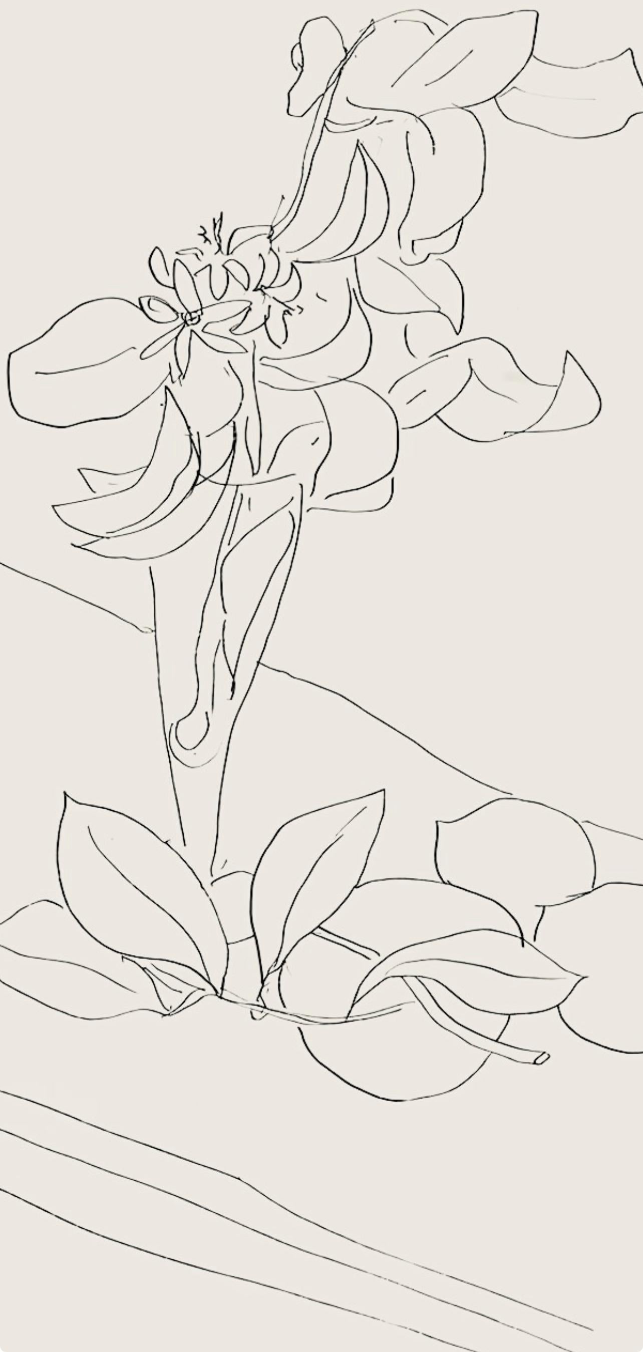 Matisse, Série M, var. 2 (Duthuit 9), Dessins, Thèmes et variations (after) - Beige Abstract Print by Henri Matisse