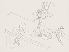 Matisse, Série M, var. 2 (Duthuit 9), Dessins, Thèmes et variations (d'après)