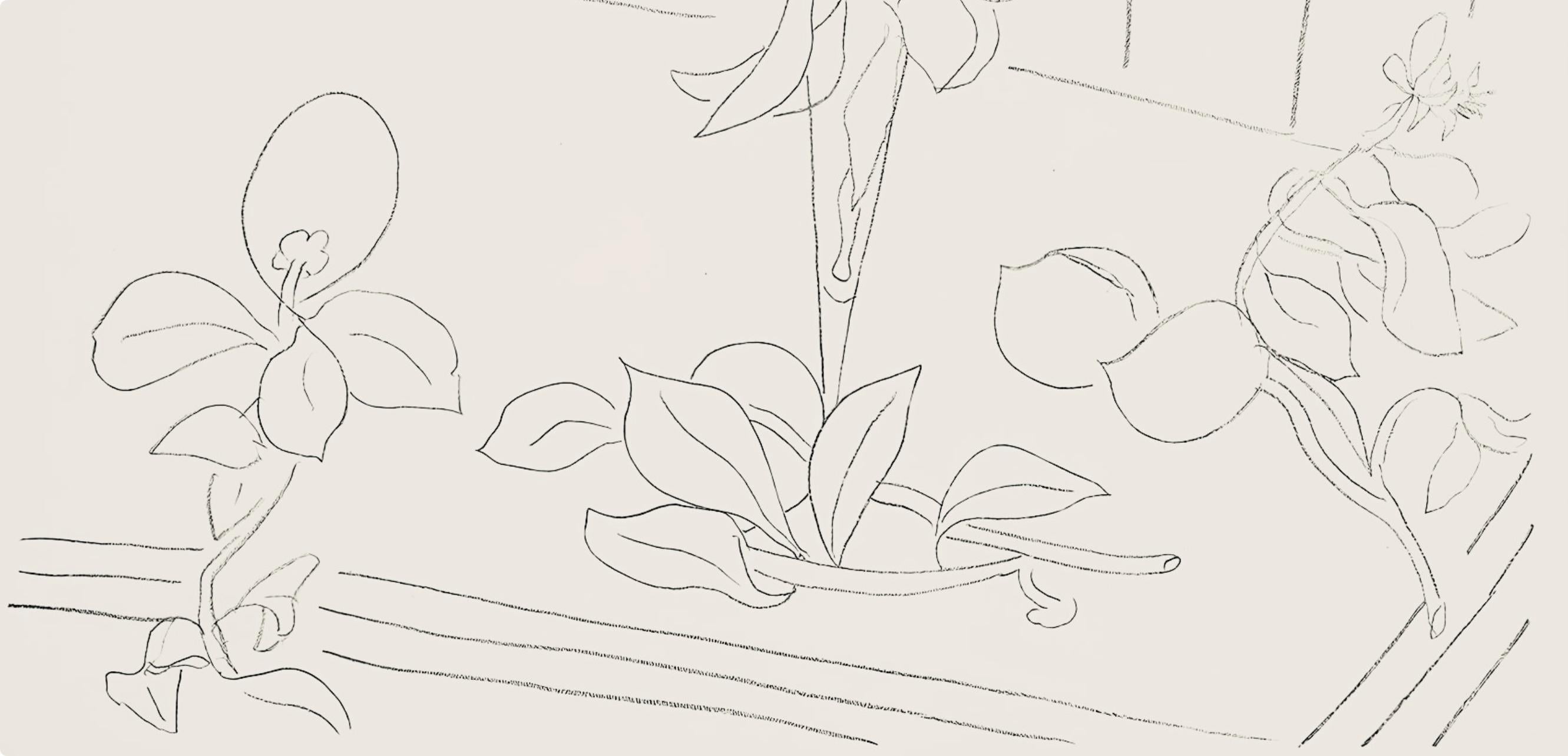 Matisse, Série M, var. 4 (Duthuit 9), Dessins, Thèmes et variations (after) - Print by Henri Matisse