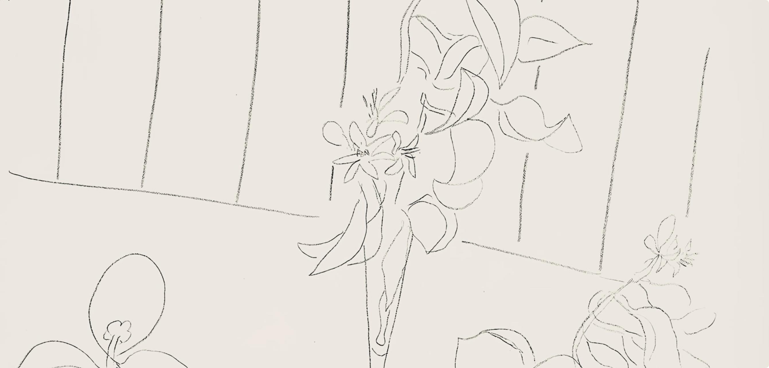 Matisse, Série M, var. 4 (Duthuit 9), Dessins, Thèmes et variations (after) - Modern Print by Henri Matisse