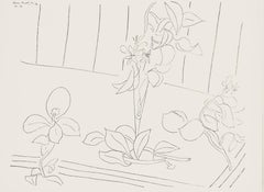 Matisse, Série M, var. 4 (Duthuit 9), Dessins, Thèmes et variations (d'après)
