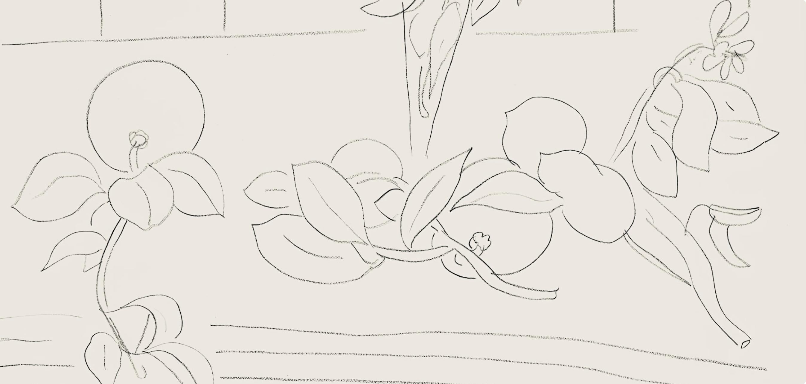 Matisse, Série M, var. 7 (Duthuit 9), Dessins, Thèmes et variations (after) - Print by Henri Matisse
