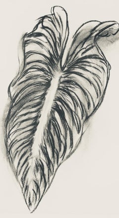 Henri Matisse, Series N Gc'S, Var. 1, 1943 (after)