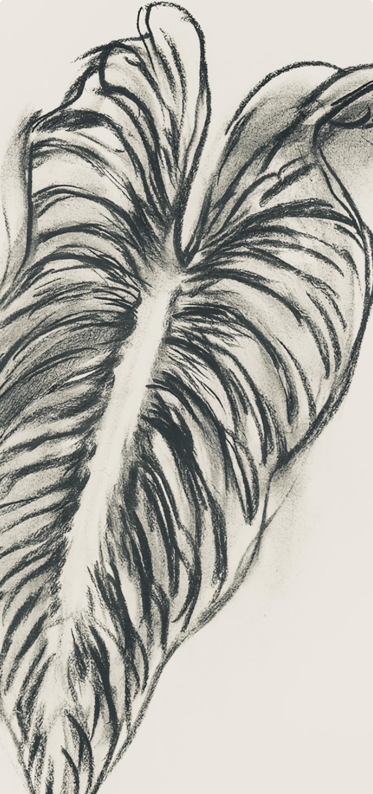 Matisse, Série N Gc'S, var. 1 (Duthuit 9), Dessins, Thèmes et variations (después de) - Still-Life Print Gris de Henri Matisse