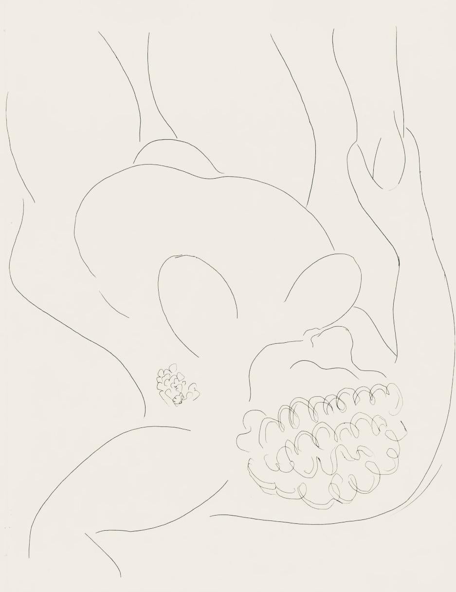 Matisse, Une négresse par le démon..., Poésies (después)