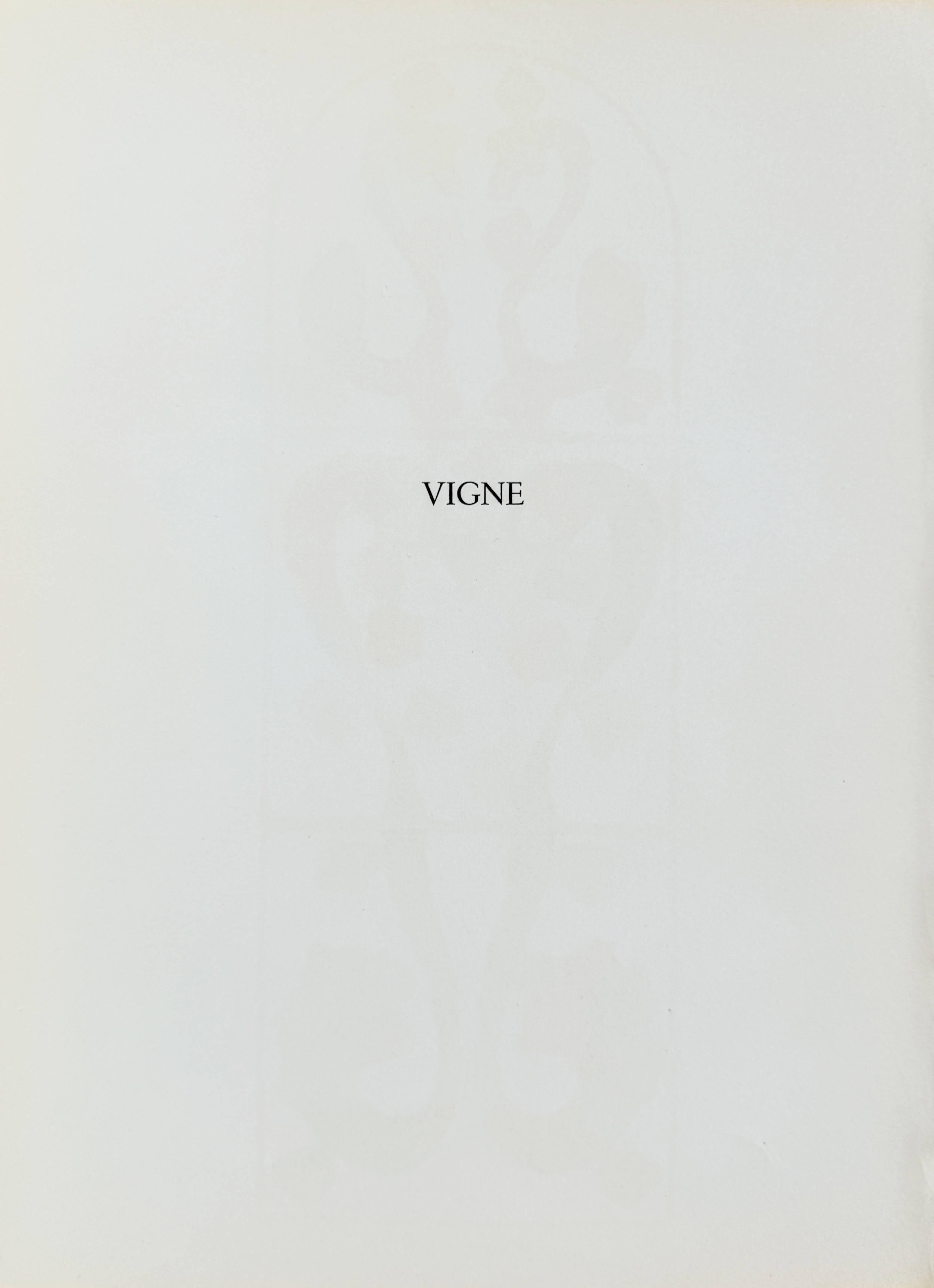 Vigne in vendita 1